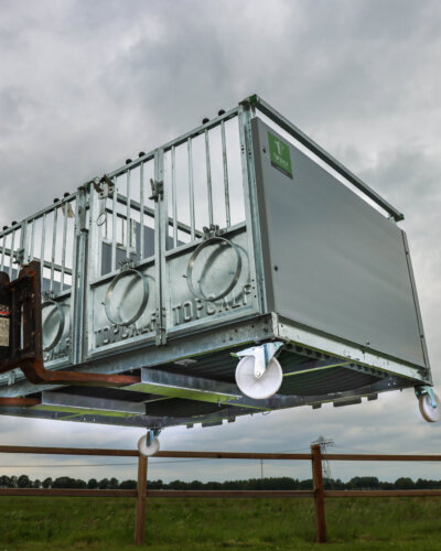 Duo kalverbox XXL