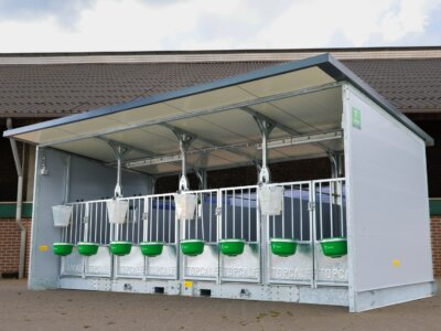 Quattro XL Kalverhut voorkant 2