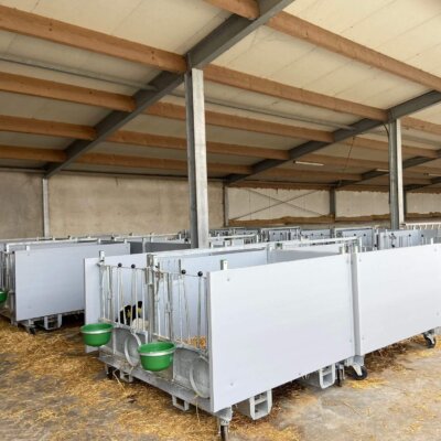 Duo kalverbox XL