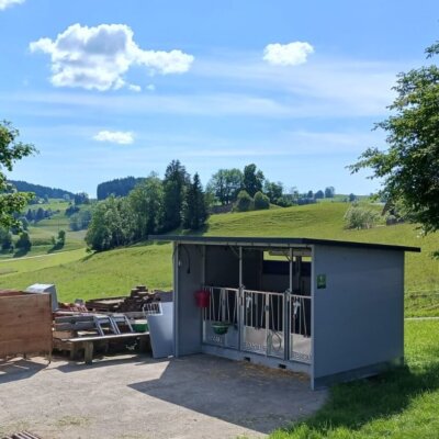 Trio kalverhok met dak