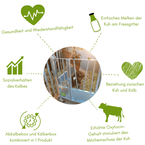 Abkalbebox