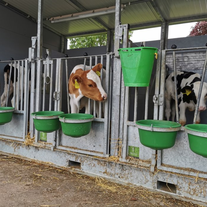 Serie (5): À visiter – Ferme laitière Albers