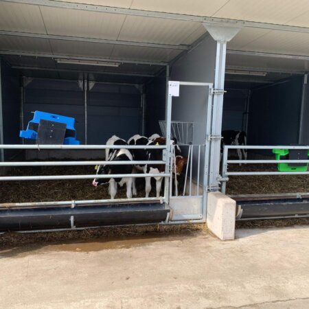 Afbeelding van WhatsApp op 2024-04-24 om 16.02.41_55131dd3