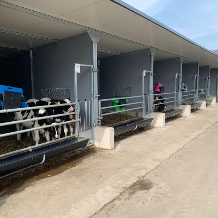 Un espace optimal pour vos veaux : découvrez nos étables fixes
