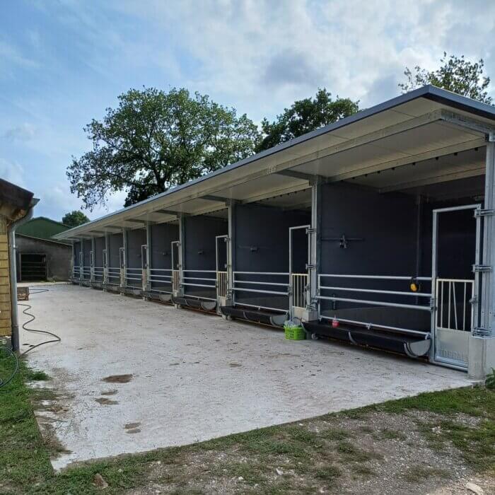 Un bon départ pour les veaux en Schleswig-Holstein