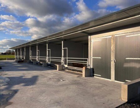 594409744_836870395723144_6239668213374813266_n 594409744_836870395723144_6239668213374813266_n