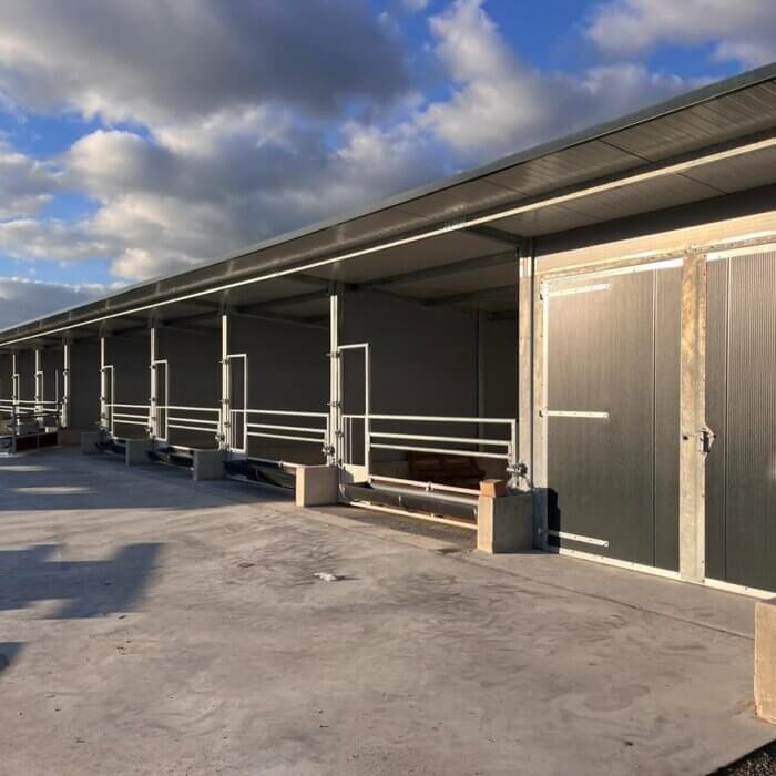 Optimisation du logement des veaux à la ferme laitière Fraune