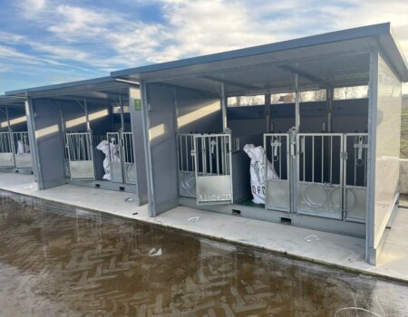 597290887_837051609089254_423297831874007097_n 597290887_837051609089254_423297831874007097_n