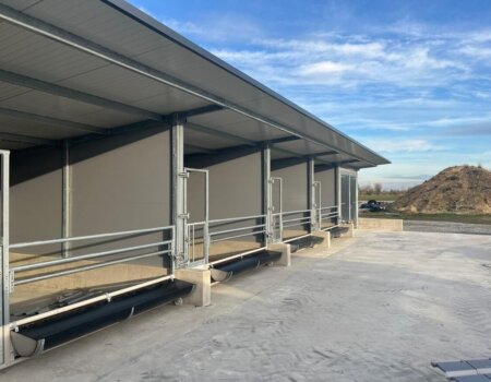 598010403_1546464893250762_5433647198074503428_n 598010403_1546464893250762_5433647198074503428_n