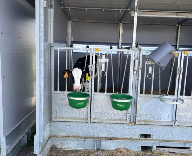 WhatsApp Image 2026-03-20 at 12.45.04 (1)