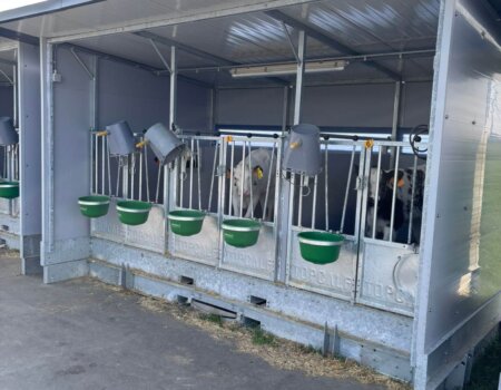 WhatsApp Image 2026-03-20 at 12.45.04 (2)