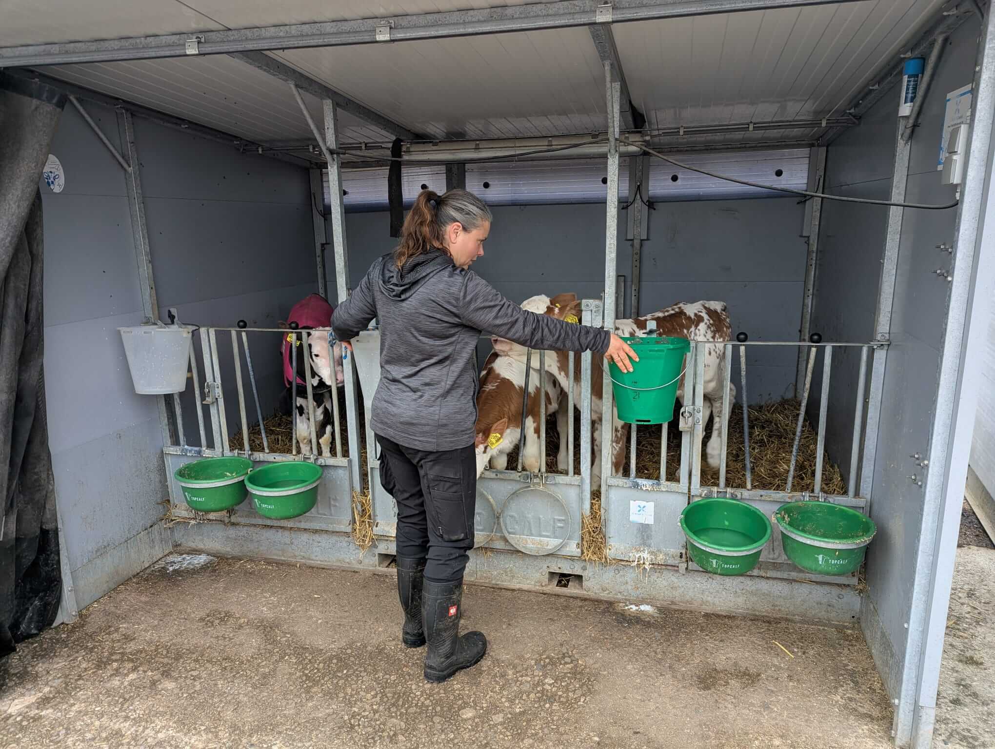 WhatsApp Image 2026-04-15 at 18.08.23