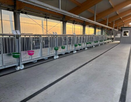 c916bc5e-a7d9-4752-95eb-d315a938f21c (1)