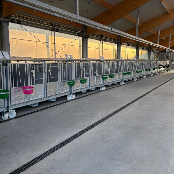 Projet d’étable innovant avec les cases à veaux Topcalf Duo